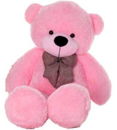 Teddy Bear - Pink