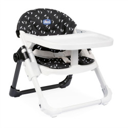 Chicco Booster Seat