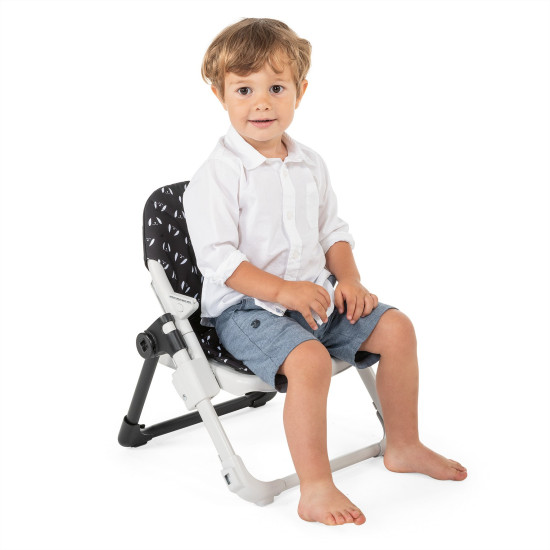 Chicco Booster Seat