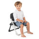 Chicco Booster Seat