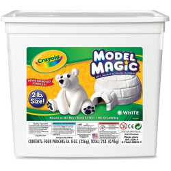 Model Magic Bucket