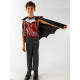 Vampire Fancy Costume