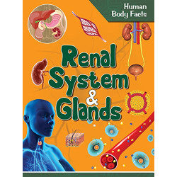 Renal System and Glands - Human Body Facts