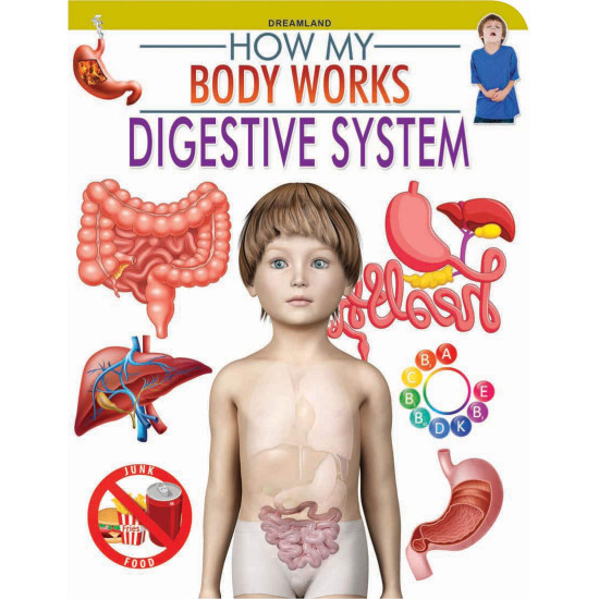 How My Body Works - Digestive System