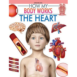 How My Body Works - The Heart