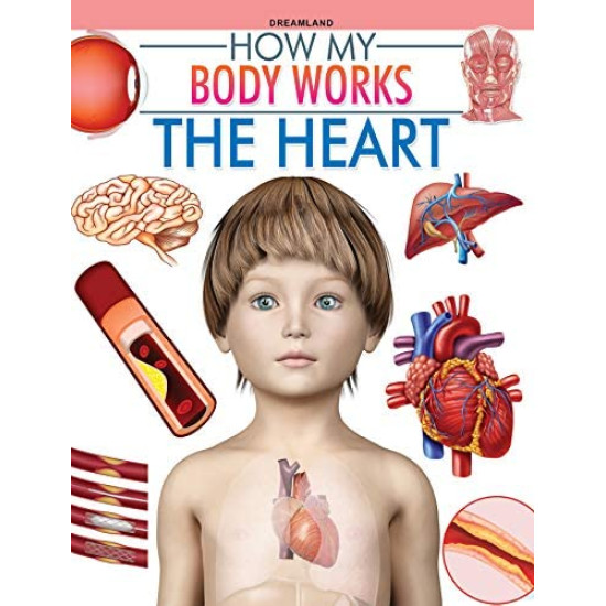 How My Body Works - The Heart