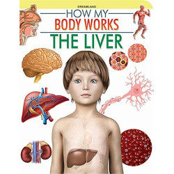 How My Body Works - The Liver