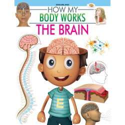 How My Body Works - The Brain