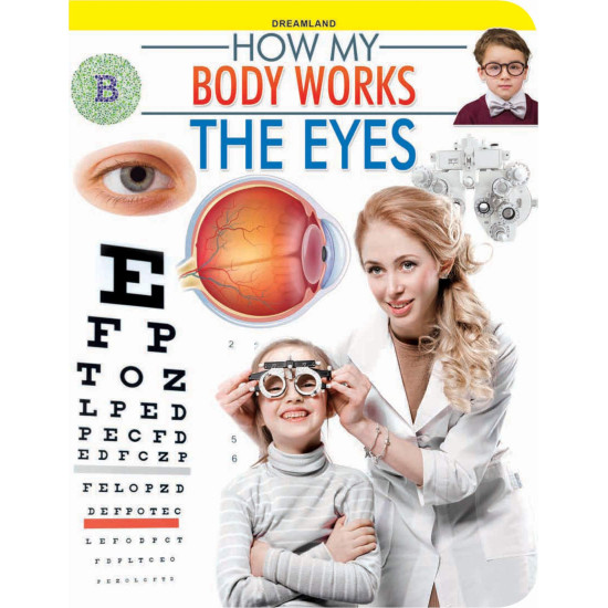 How My Body Works - The Eyes